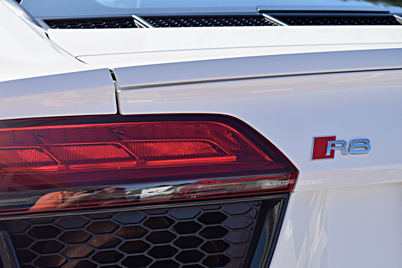 Illustration for article titled Magic City Octane Photodump from October and November